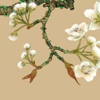 为什么寅申相冲命不长 寅申相冲有吉有凶