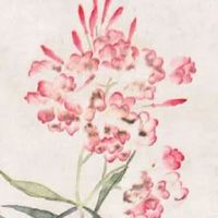 手机139选号大厅 最值钱的号码数字