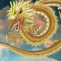 1976年龙人们34岁到今年，是龙人们2022年全年财富