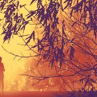 今年应该关注今年的女人的运气是什么？