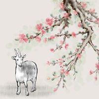 79年羊2022年感情运势如何 运势稳定相处和谐