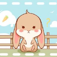 婚姻和兔子和兔子的发展如何？