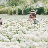 柔软是真的，它不是模糊的星座。