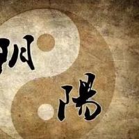 地支半合化会怎么样？