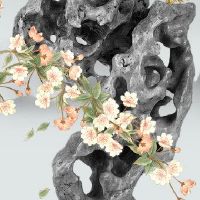 86年属虎女的2022年怎么样 金钱方面收获充足