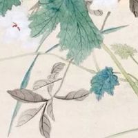 摇到0000的车号好不好 五行解读最旺车牌号