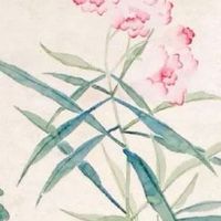 豹子号车牌555 盘点热门招财的车牌号码