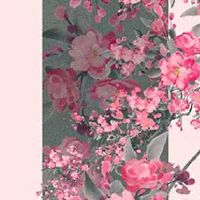 真的有效的旺桃花风水 成双成对摆件旺桃花