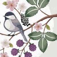 本命年加逢九年忌讳什么 戴本命佛化解本命年加逢九年