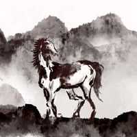 2022年穿着马的吉祥物可以转移吗？