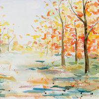 在教师节出生的男孩的名字是什么？