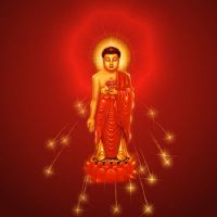 南阿米拉巴哈的含义是什么？