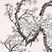 豹子号手机号 吉利手机号数字推荐