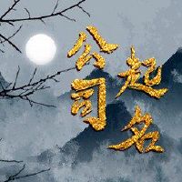 建议该公司的名称提高营业额的名称