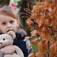 11月2日，2022年，是着名的，是文雅杨的名字。