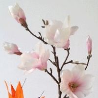 2022年5月4日提车好吗 农历四月初三是上牌日子吗