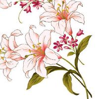 2022年5月3日是什么日子 农历四月初二是提车黄道吉日吗