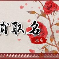 2022三字符炸鸡商店名称霸气和有意义