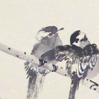 驾校公司名称大全集 企业取吸引人的名称