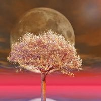 最近，有一种崇高的人，可以防止小人物的星座。