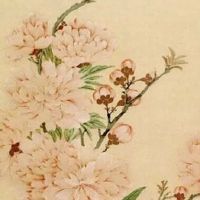 注册农业公司用什么名字好 常用招财企业取名大全