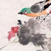 2022年生肖鼠的全年运势 生肖鼠或惹上官司