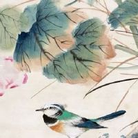 有创意的土特产店名字 店铺起名独特有个性