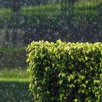 八个字符的日本柱是Yahai的男人和女人