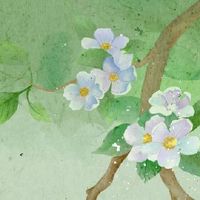 2022年本命年属什么 本命年属虎人讲究