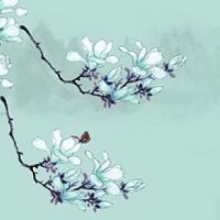 八字四柱查桃花 四柱桃花神煞看桃花运