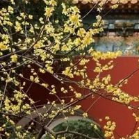 长命百岁的出生日子 身体健康才能长命百岁