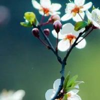 男孩能当官的出生日 有权有势的初八生人