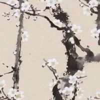 农产品公司起什么名字好 企业取名高雅新潮