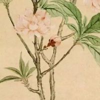 卖农产品取个什么名字 新公司起名顺口招财