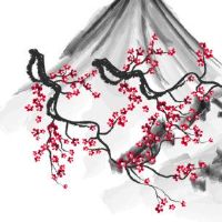 今日生肖冲煞查询:2022年7月25日冲什么属相