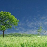 伤害官员，男人，不要善良的生活