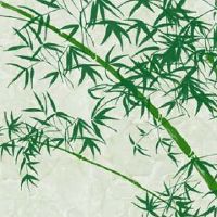 属相第一运程:2022年7月15日特吉生肖运势解说