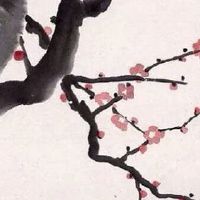 属虎的财运贵人是谁 相爱相杀的虎与蛇