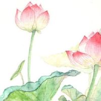 车牌靓号过户方法 转让车牌号须知要点