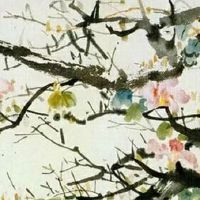 车牌豹子号000值多少钱 行车最好车牌数字