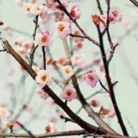 哪个日子出生的人命好 二十九生人家庭美满