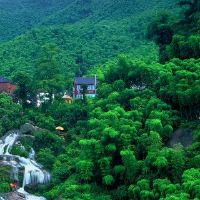 紫色梅明星同样的明星特征和爱情观