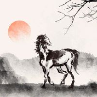 谁在一生中的马，阶段是什么？