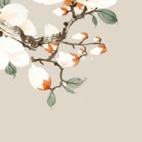 合婚看什么比较准 天干地支婚姻配对法