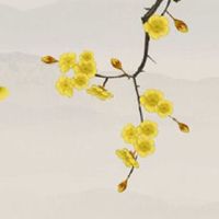 中上等婚姻的状态 上等婚姻就一定幸福吗