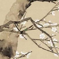 创意烧烤店名最新 店铺起招财好名称