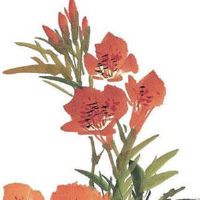 鑫字起名公司名称最新的 高端企业取名大全集