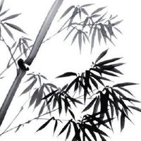 鑫的后面取什么名字好听 热门公司起名大全集