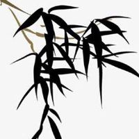 做金融取什么公司名最新 有涵养的企业取名推荐