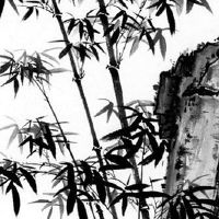 鑫什么取公司名合适 精选企业取好名